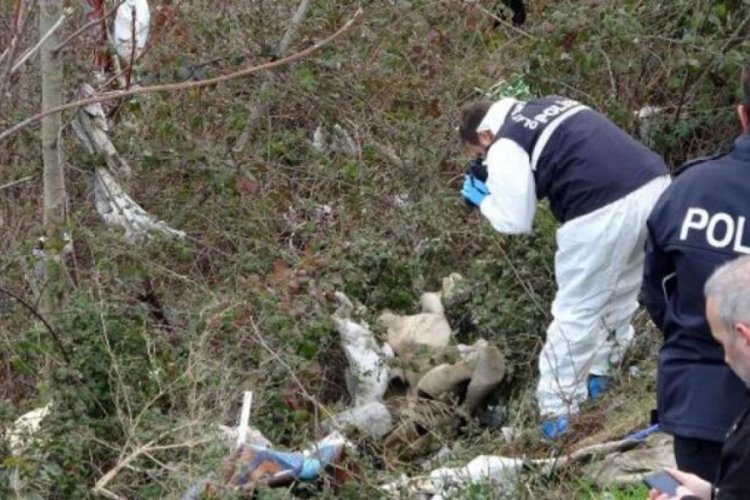 Viyad&uuml;k altında yaşayan kişi &ouml;l&uuml; bulundu