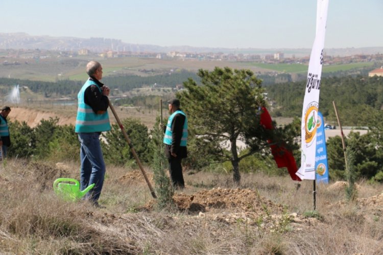 H&uuml;k&uuml;ml&uuml;lerin son 3 yılda 'dikili ağacı' 2,5 milyona yaklaştı