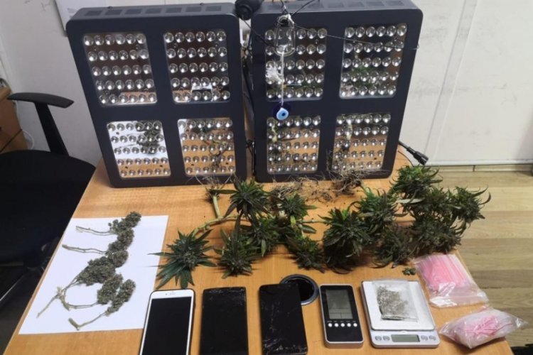 Kadın &ccedil;ığlığı ihbarına giden polis, uyuşturucu tarlasına &ccedil;evrilen evle karşılaştı