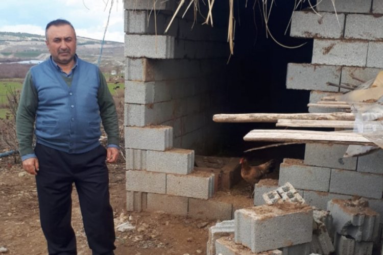 Ahırdan 7 ineği &ccedil;alınan k&ouml;yl&uuml;: Tek ge&ccedil;im kaynağım hayvanlarım