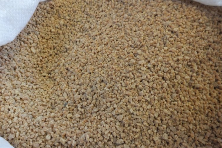 &Ccedil;evreci yakıt zeytin &ccedil;ekirdeklerine Almanya da talip oldu!