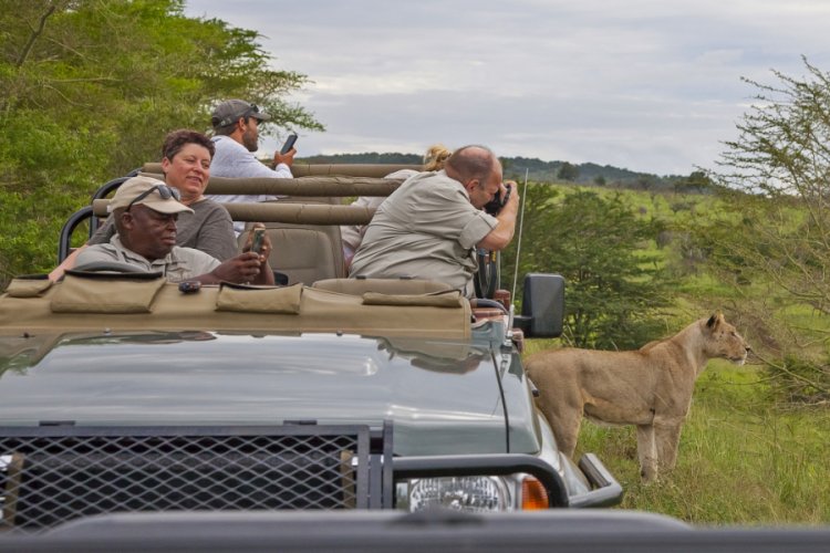 Yaban hayatı fotoğraf&ccedil;ılarının G&uuml;ney Afrika'daki tehlikeli yolculuğu