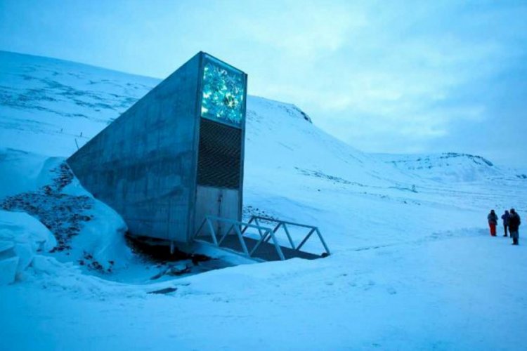 Norve&ccedil;'teki 'Nuh'un Gemisi'ne 60 bin bitki tohumu taşındı