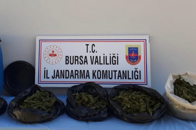 Bursa'da ormanda toprağa g&ouml;m&uuml;lm&uuml;ş 5 kilo esrar bulundu