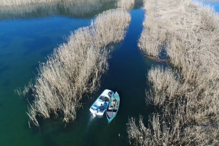 'Şok'la yasa dışı balık avcılığına droneli takip