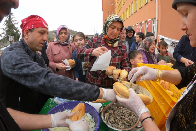 Ordu'da yarım ton hamsi 1 saatte t&uuml;kendi