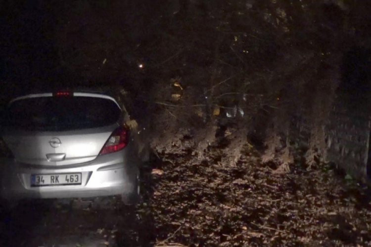 Fırtınanın devirdiği ağa&ccedil;, otomobilin &uuml;st&uuml;ne d&uuml;şt&uuml;