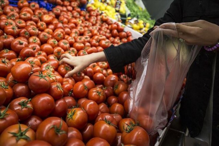 G&uuml;venli gıda i&ccedil;in "tohumdan hasada denetim" &ouml;nerisi