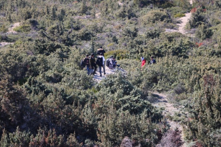 İnternette g&uuml;ld&uuml;ren 'Yunanistan' yorumları