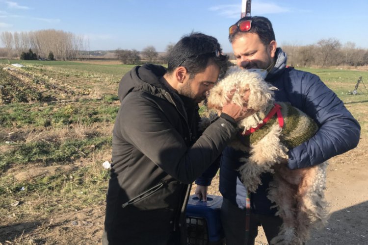 6 yıldır baktığı kedisi ve k&ouml;peğinden vazge&ccedil;ti