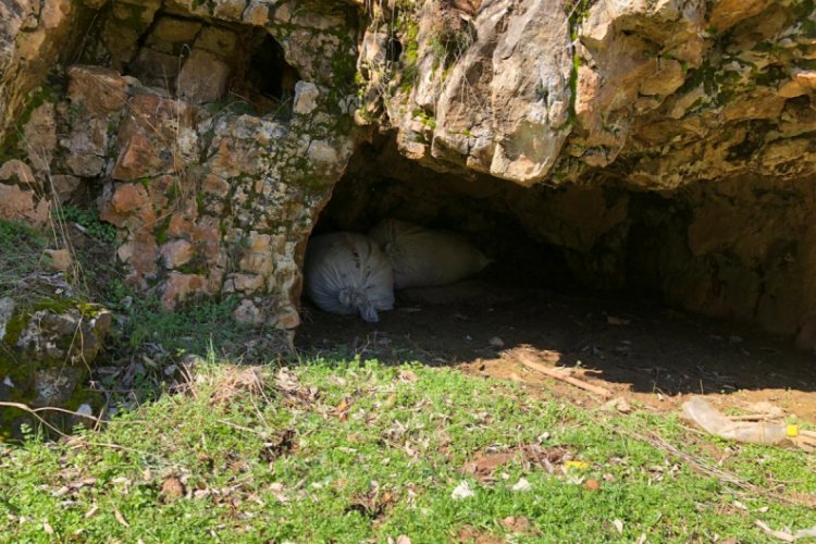 Mağarada 300 kilo esrar ele ge&ccedil;irildi