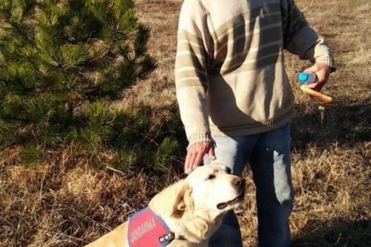 Kaybolan kişiyi jandarmanın iz takip k&ouml;peği buldu
