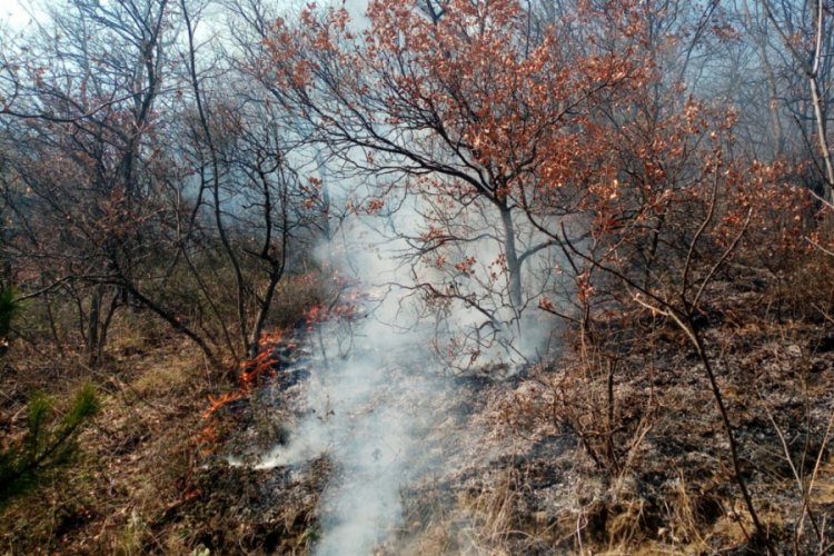 Bursa'da ormanlık alanda &ccedil;ıkan yangın ekipler tarafından s&ouml;nd&uuml;r&uuml;ld&uuml;
