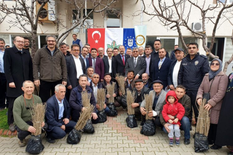 Bursa'nın Orhaneli ilçesinde çiftçilere 7 bin 500 kurt üzümü fidanı