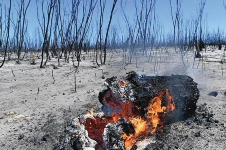 Avustralya'daki yangınlarla ilgili a&ccedil;ıklama!