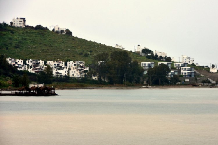 Bodrum'da deniz kahverengi oldu