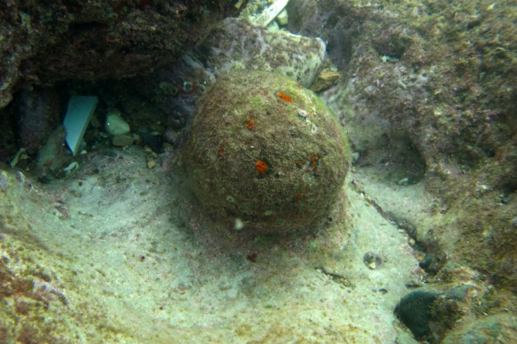 Antalya'da denizde tarihi top mermileri bulundu