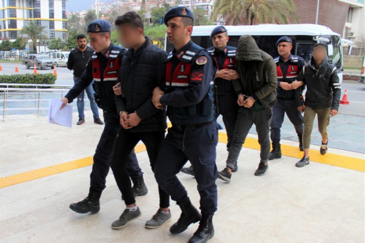 Avokado hırsızları jandarmaya takıldı