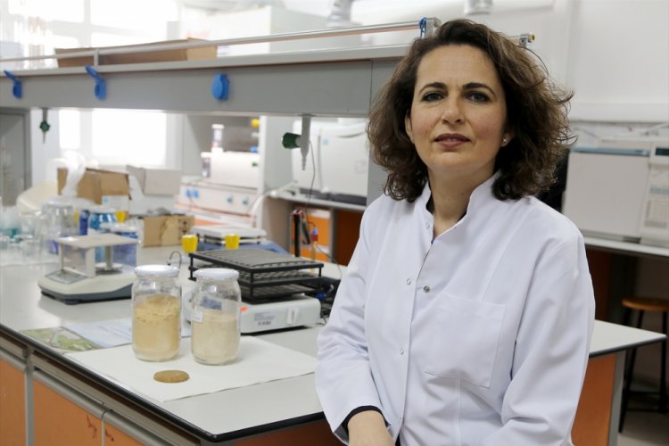 Bursa Uludağ &Uuml;niversitesi'nden iki yeni patent