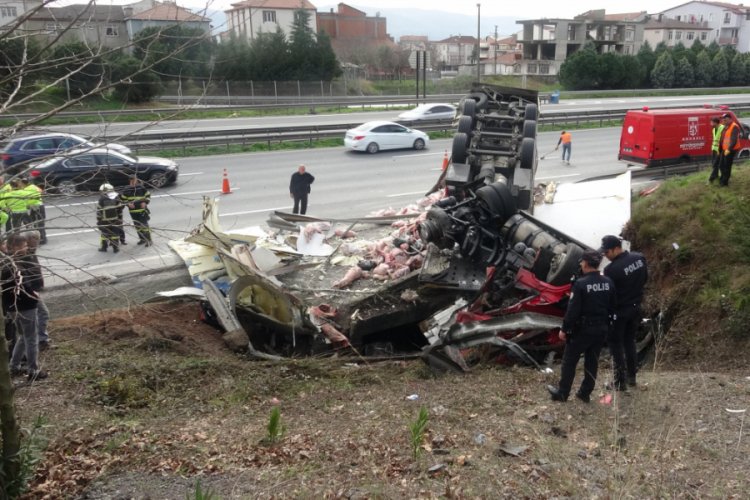TEM'de et y&uuml;kl&uuml; TIR takla attı