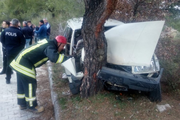 Denizli'de otomobil ağaca &ccedil;arptı