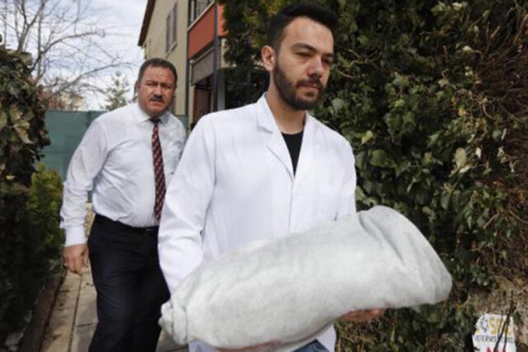 'Fındık'ın cansız bedeni Tokat'a g&ouml;nderildi