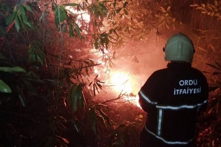 Dikkatsizlikten orman yandı