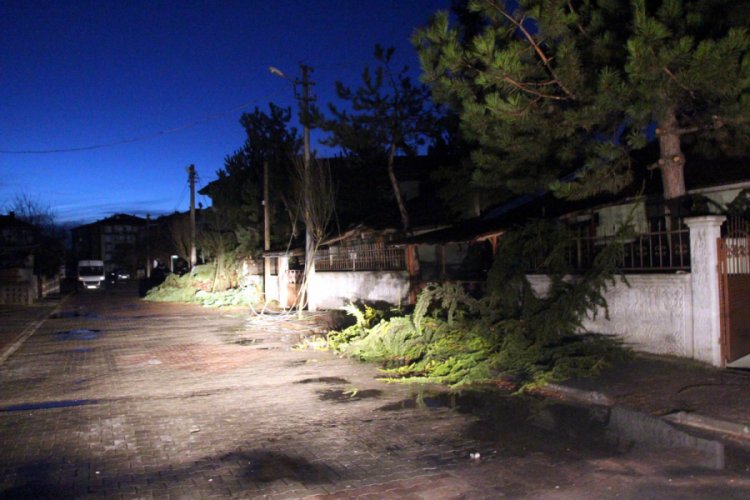 Bolu'da fırtına, ağa&ccedil;ları ve direkleri devirdi