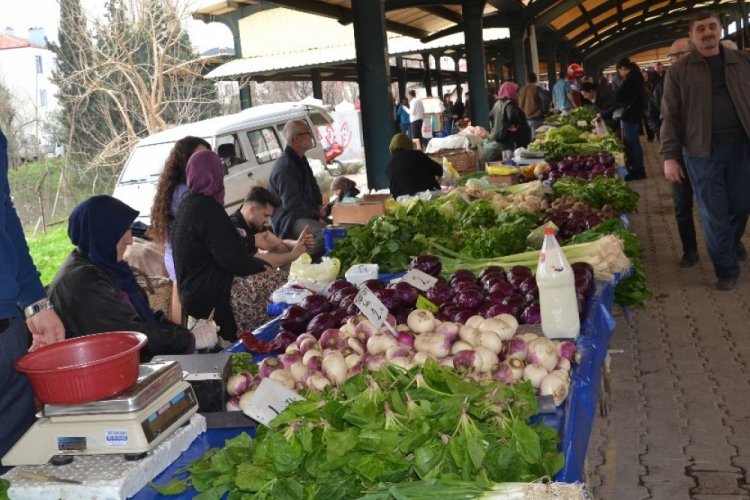 Korana vir&uuml;s&uuml; salgınına karşı vir&uuml;s savar bitkiler