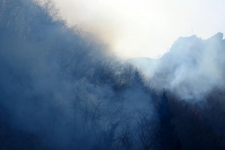 Trabzon'daki orman yangınları kontrol altında