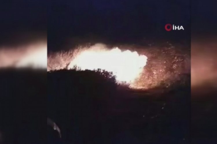 &Ouml;rt&uuml; yangınında 20 d&ouml;n&uuml;ml&uuml;k alan zarar g&ouml;rd&uuml;