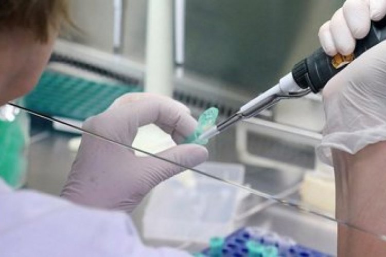 Koronavir&uuml;s Bilim Kurulu toplanıyor