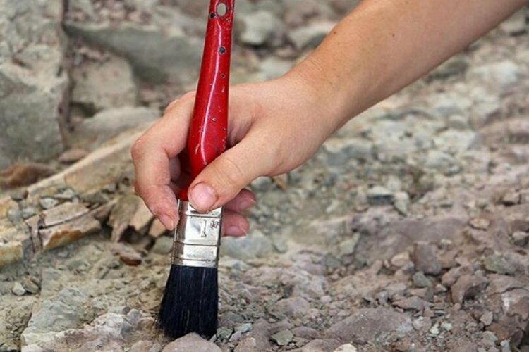 99 milyon yıllık kehribar i&ccedil;inde 'en k&uuml;&ccedil;&uuml;k dinozor fosili' bulundu