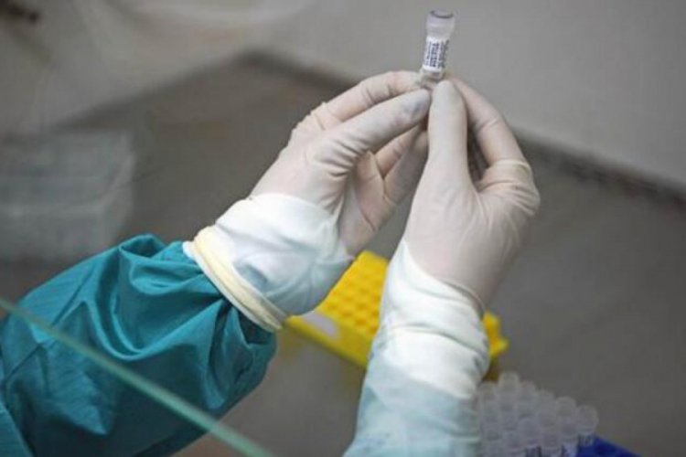 Cezayir'de Corona Vir&uuml;s'ten ilk &ouml;l&uuml;m