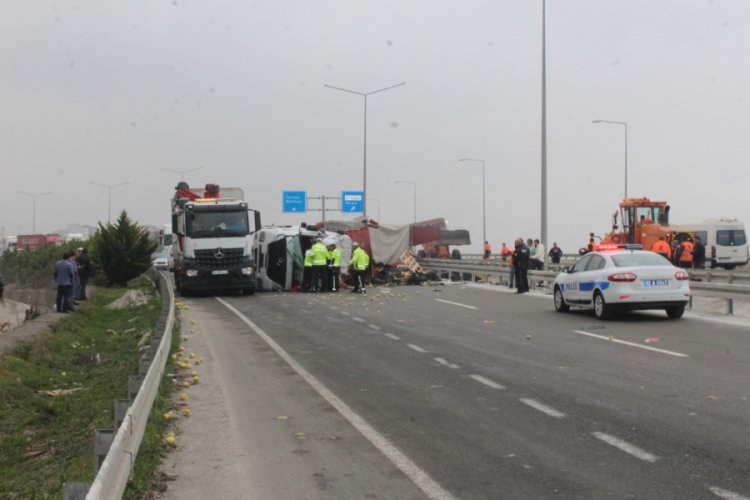 TIR devrildi, meyveler yola sa&ccedil;ıldı