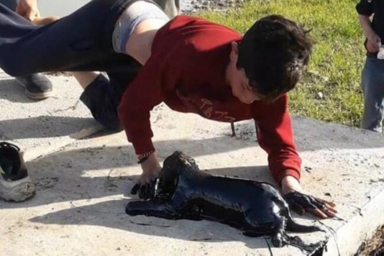 10 yaşındaki çocuk petrol atığı kuyusundan yavru köpeği kurtardı