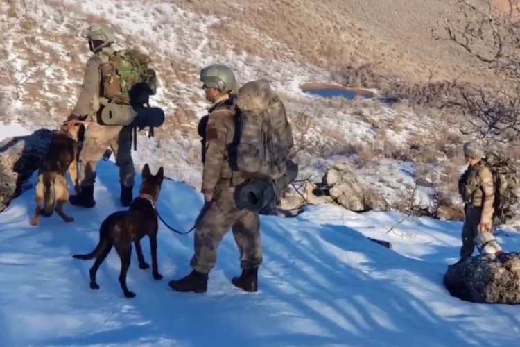 &Ouml;zel eğitimli k&ouml;peklerin tespit ettiği patlayıcılar imha ediliyor