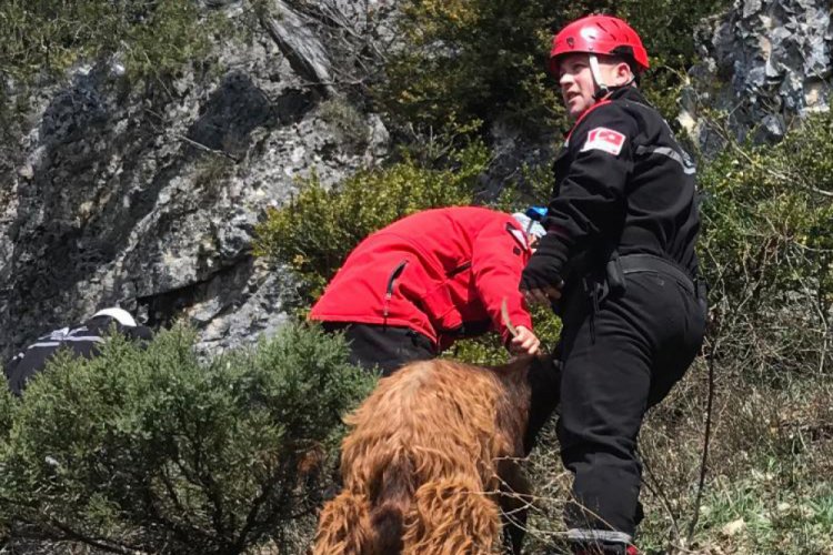 Kanyonda mahsur kalan ke&ccedil;iler kurtarıldı