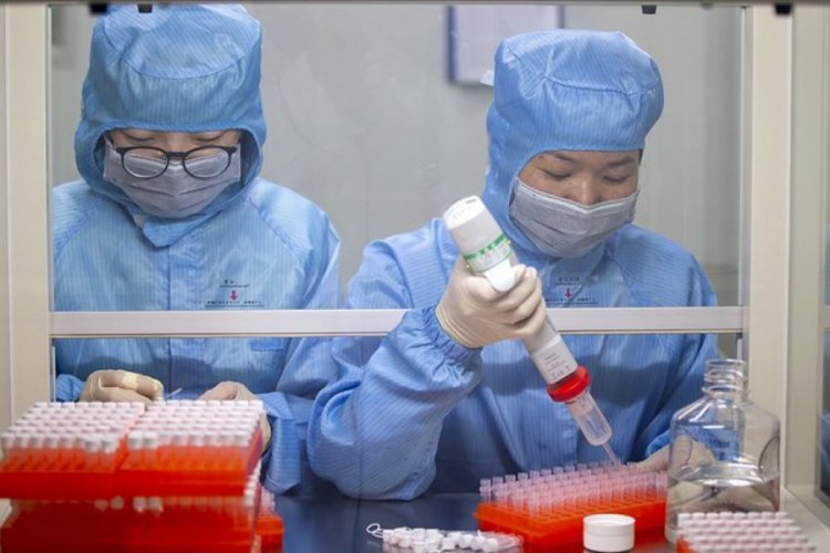 &Ccedil;in'de klinik deneyler: Favipiravir adlı ila&ccedil; koronavir&uuml;ste iyileşme s&uuml;recini hızlandırıyor