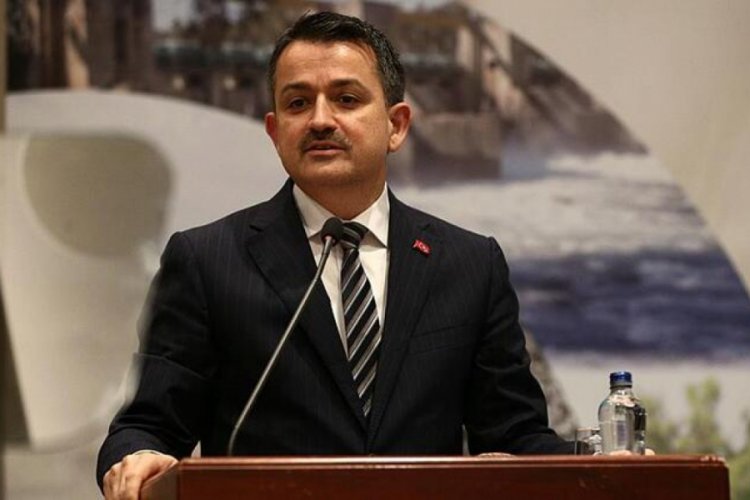 Bakan Pakdemirli duyurdu: Saat 18.00'den sonra hesaplara yatacak