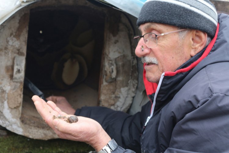 Litresi 7 bin lira olan 'propolis' yok satıyor