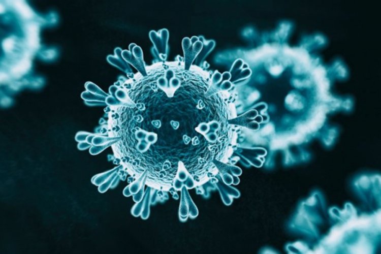 Otomotiv devlerinden corona vir&uuml;se karşı ortak adım