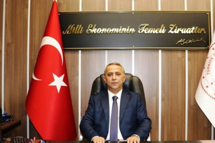 Bin 488 işletmeye 3 milyon 4 bin 775 TL koyun ke&ccedil;i desteği