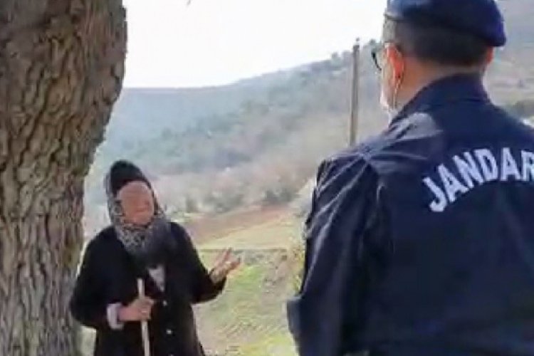 Bursa'da jandarma dağda hayvan otlatan yaşlı kadını böyle uyardı