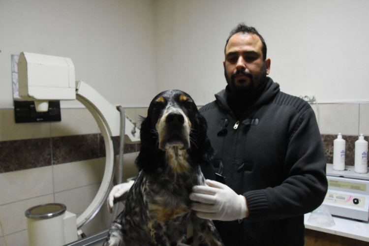 Bursalı veteriner: 'Hayvandan insana, insandan hayvana koronavir&uuml;s ge&ccedil;mez'
