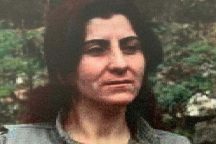 MİT ve TSK'nın operasyonuyla etkisiz hale getirildi
