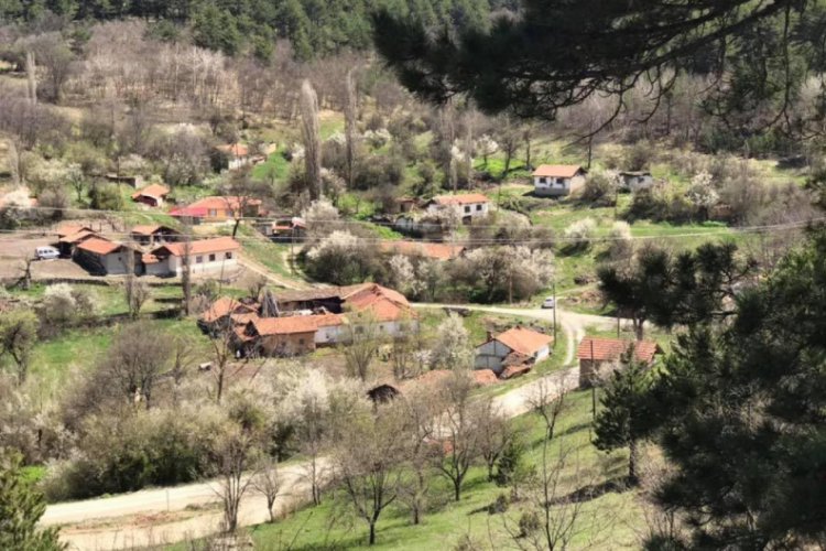 Bilecik'te bir k&ouml;yde koronavir&uuml;s karantinası