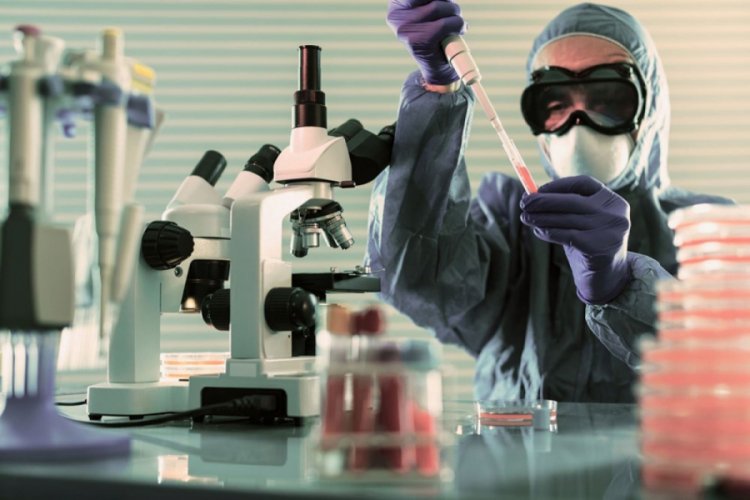 İran'ın 17 kilit ismi koronavir&uuml;se yenik d&uuml;şt&uuml;