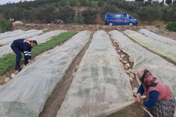 Jandarma tarlada yaşlı teyzeye yardım eli uzattı
