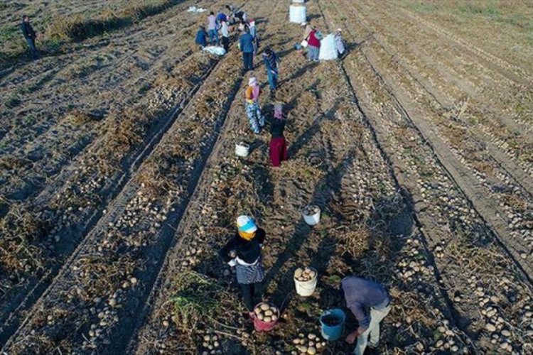 "Mevsimlik tarım işçisi göçü" koronavirüs endişesiyle başladı